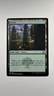 MTG Adventures in the Forgotten Realms Forest 281/281 Magic the Gathering