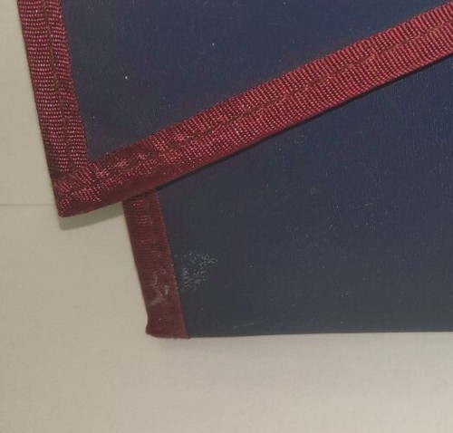 Sleeve CD/ DVD Protector Carrying Cases 6 Double Sided Pages Thrasher Hockey VTG - Afbeelding 3 van 9