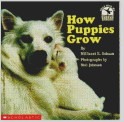 How Puppies Grow by Millicent E. Selsam (1990, Trade Paperback) RL 2 Ages 4-7