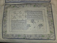 Pottery Barn Kids set of 2 Shams. Blue and white floral 20x27
