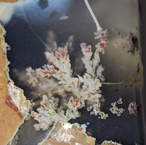 Priday Plume Agate - Thunder Egg - Rare - Beautiful Stuctured Plumes (97 grams) - Picture 1 of 13