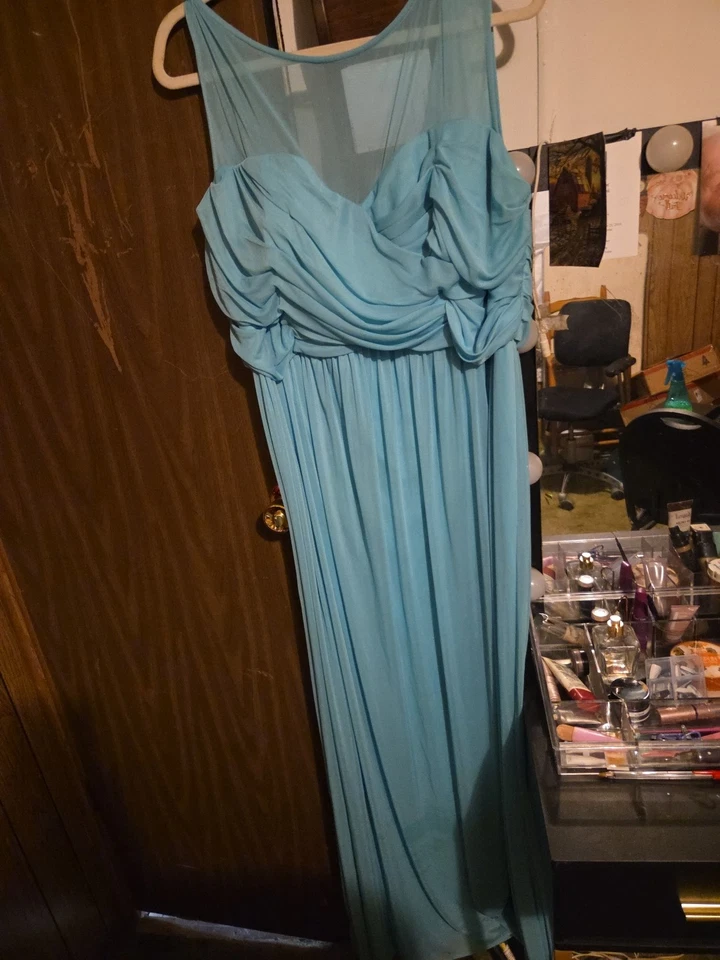 David's Bridal Bridesmaid Dress Alfred Angelo Pool224 long full length open back - Image 3 of 3