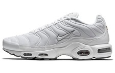 nike air max plus arctic chill