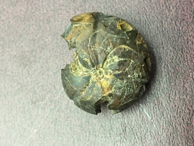 Picture 1 of 3