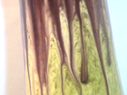 Bild 11 von 12