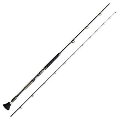 ロッド Shimano Shimano 20 ARCIERA OTOSHIKOMI MH240 Big Game Rod | eBay