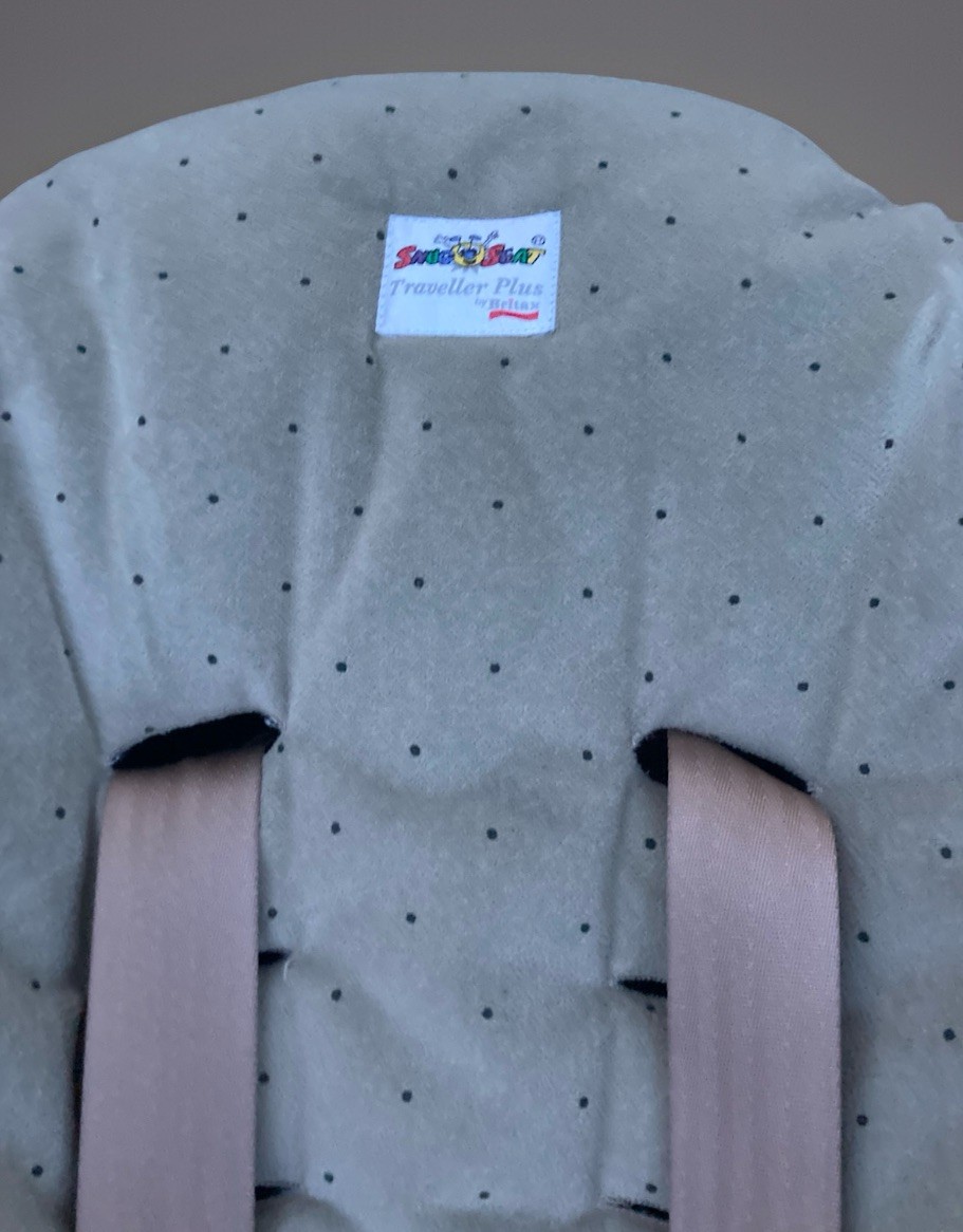 Traveller Plus Special Needs Snug Seat (rated Up To 105 Lbs) | eBay