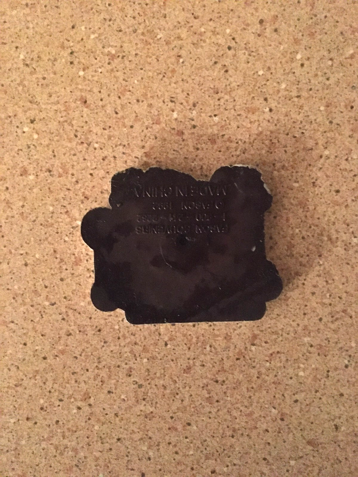 Magnete Da Frigo Charleston South Carolina – Souvenir Collezione 6,3x8,9 Cm, In Vinile Resistente