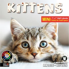 Kittens 2026 Mini Wall Calendar 12 Month | 7" X 14" Open | Thick & Sturdy Paper 
