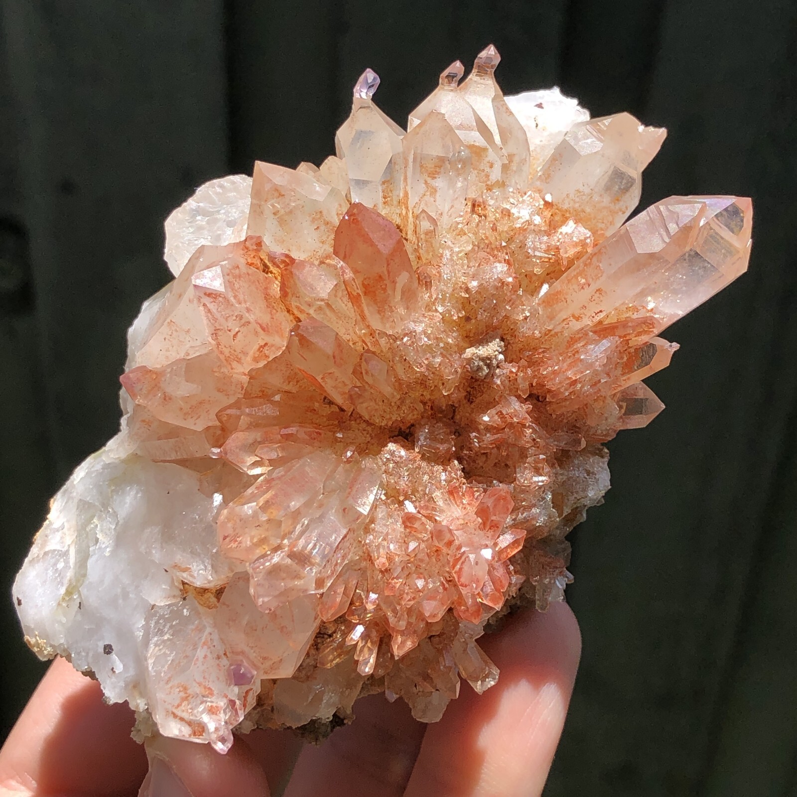 9.0cm Amethyst Reverse Sceptres Goboboseb Mountains Namibia