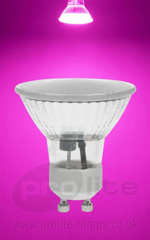 Pink gu10 led bulbs deals