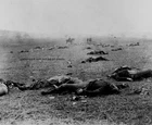 Harvest of Death Battle of Gettysburg 8"x 10" Civil War Photo Picture #15