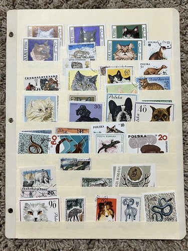 WORLDWIDE ANIMAL STAMPS LOT IN STOCK PAGE REPTILES, CATS, DOGS, HORNED & MORE - 第 1/10 張圖片