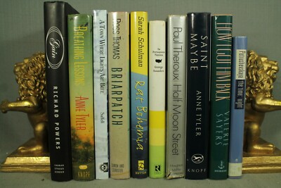 lot 10 books Saint Maybe Briarpatch Breathing Lessons Rat Bohemia The Time Night