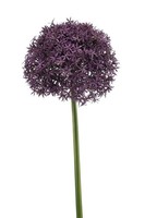 Artplants Kunstblumen Allium Praxen, Dunkellila, 90Cm