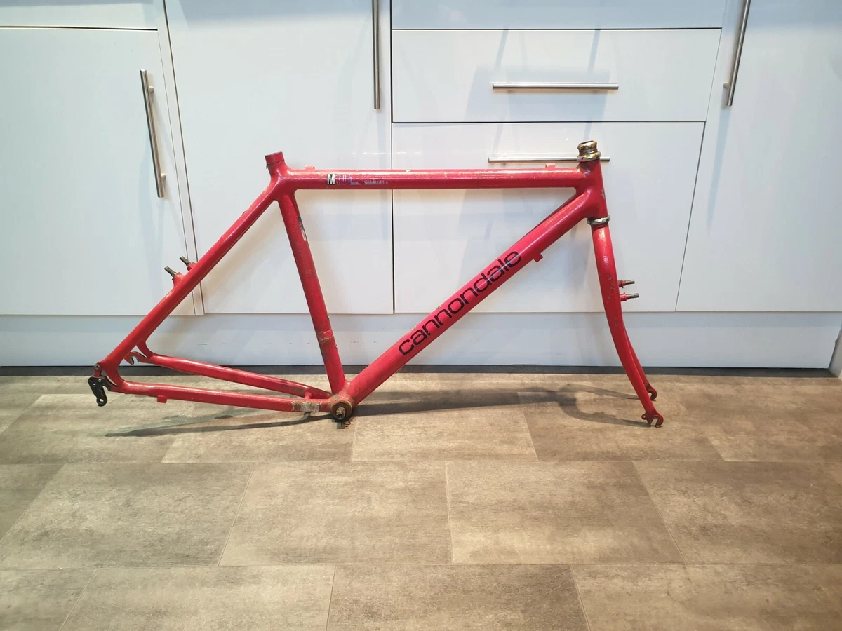 Cannondale M300 Frame 19