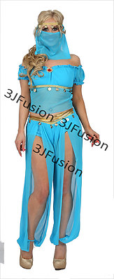 Blaue Prinzessin Jasmin Genie Bauchtänzerin arabische Nächte Kostüm KOSTENLOSER Versand (G