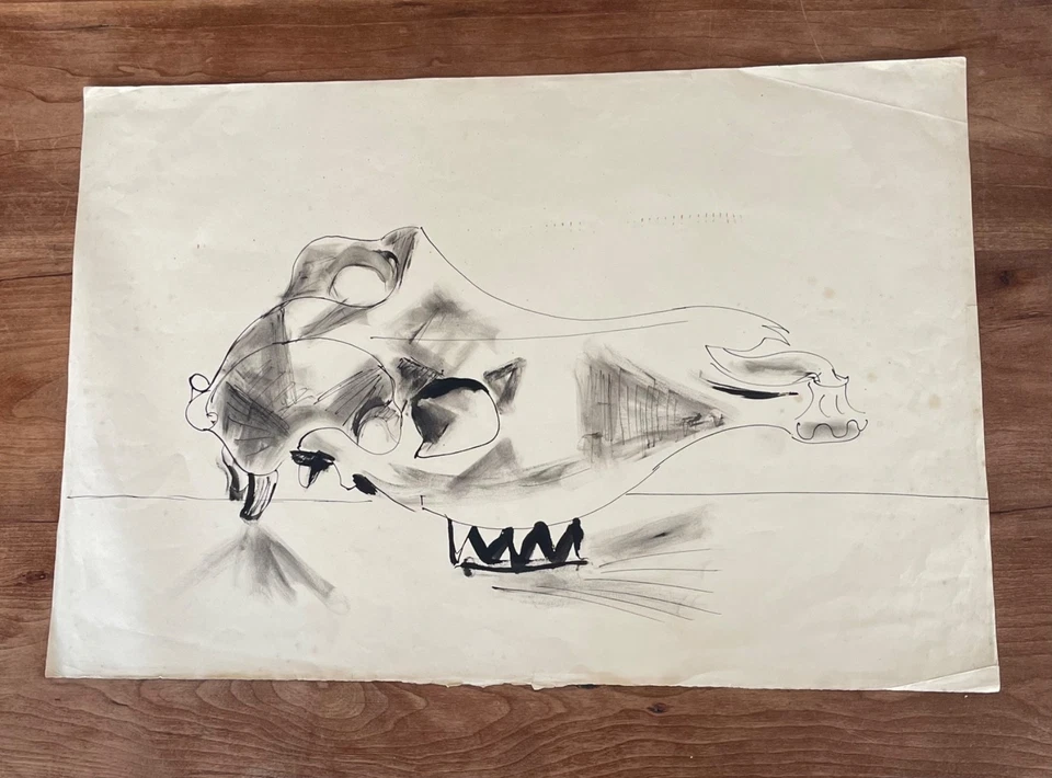 Glyn Morgan (1926-2015) “Sheep Skull” ink and wash c1950 — 第 4/4 张图片