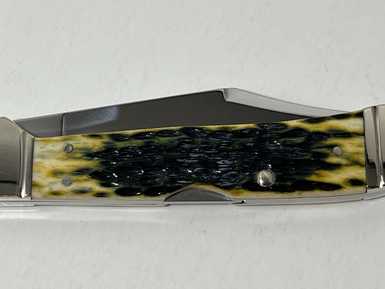 Case XX Pocket Worn CopperLock Knife 1 Blade Bone  #61549L SS Olive Green NEW