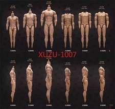 1/6 Scale Muscular Male Action Figure Body BD001-6 for 12" Hot Toy Phicen Head
