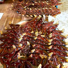 Pair of ATLAS MOTHS -Attacus atlas - Unspread Male & Female, Thailand