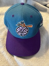 Charlotte Hornets Snapback Baseball Cap 1990s Vintage Unisex Adult