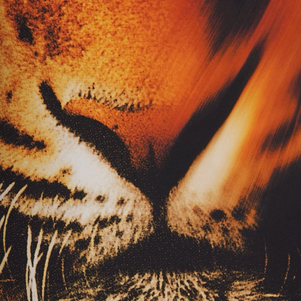 Traje de Gato Skims X Roberto Cavalli Estampado Cara de Tigre Talla Pequeña (¡AGOTADO!) Foto 4 de 4