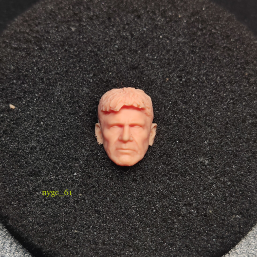 Blade Runner Old Harrison Ford Head Sculpt 1:18 per Modellino 3,75 - Foto 1 di 3