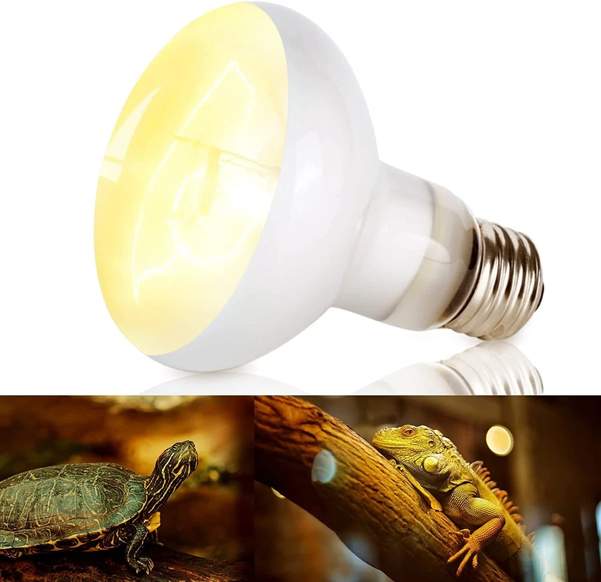 Basking lamp cheap bulb