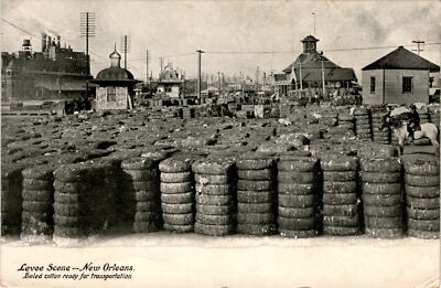Levee Scene, New Orleans, Baled cotton, Philadelphia, Murray Jordan, Postcard