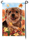 Falling Leaves Garden Flag - Grizzle Norfolk Terrier