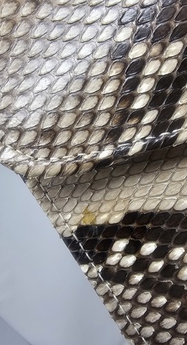Image thumbnail 4