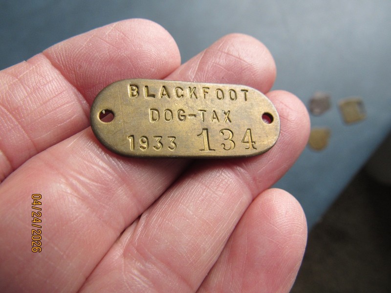 1933 Dog Tax Tag - Blackfoot {Idaho} - No. 134