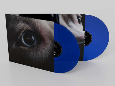 ROGER WATERS The Dark Side Of The Moon (Redux) 2LP / Blue Vinyl (Pink Floyd)