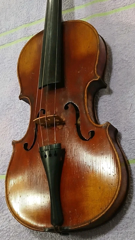 老式老式右手,4弦,小提琴/小提琴带盒,无裂缝,无弓 — 第 3/4 张图片