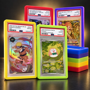 Sunset Graded Guard | eBay