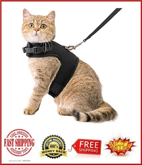 cat harness for sale