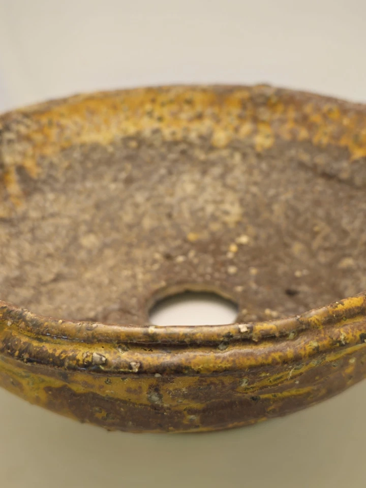 Tom Phardel Bonsai Olla Semicascada Sal Esmaltada 9"x9"x3.5" Foto 3 de 4