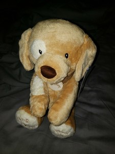 puppy with babies toy