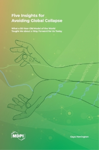 Five Insights for Avoiding Global Collapse (Copertina rigida)