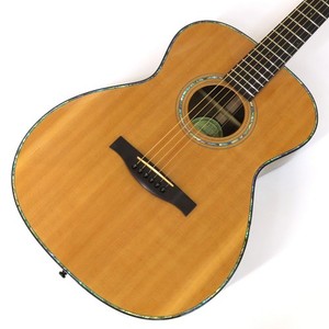 Ayers Guitar | eBay