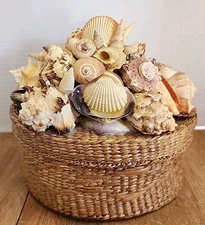 Woven Grass Straw Basket Lid Top Beach Seashells Shells
