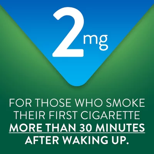 Member's Mark 2mg/4mg Nicorette Stop Smoking Gum fruit/Mint No Sugar 300 Pieces - Picture 3 of 14
