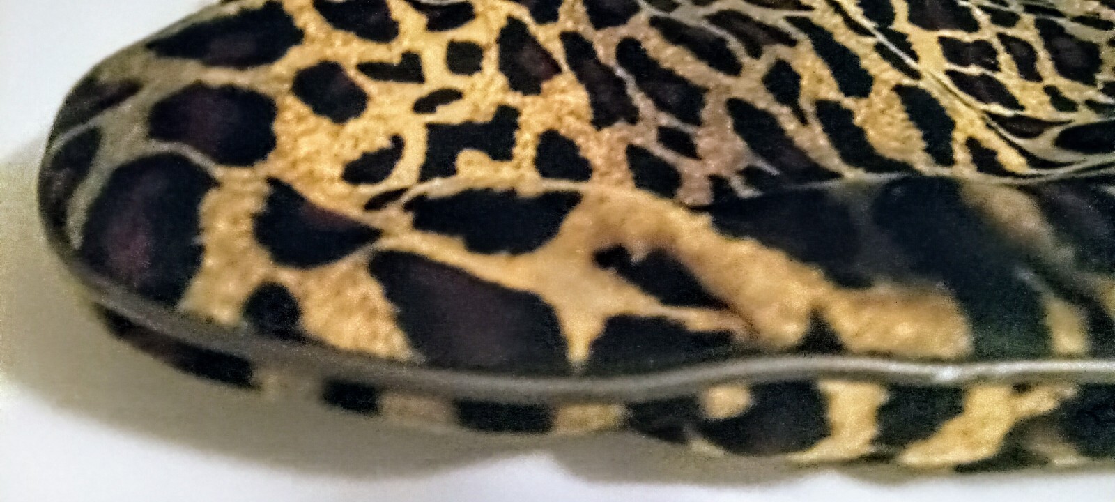 Picture 10 of 15