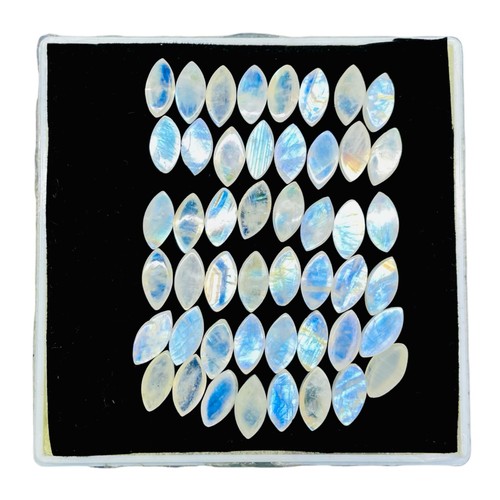 50 Pcs Natural Rainbow Moonstone 12x6mm Marquise Blue Shines Cabochon Gemstones - Picture 8 of 13