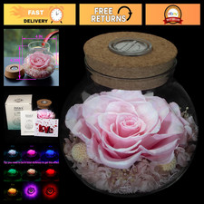 Eternal Preserved Real Roses with Colorful Mood Light - Never Withered Floral De