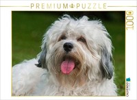 Calvendo Puzzle Portrait Of A Male Havanese | 1000 Pieces, Finished Size 25.2 ×