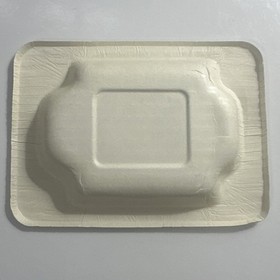 Greendog: The Beached Surfer Dude (Sega Game Gear) Complete CIB - Tested *RARE*