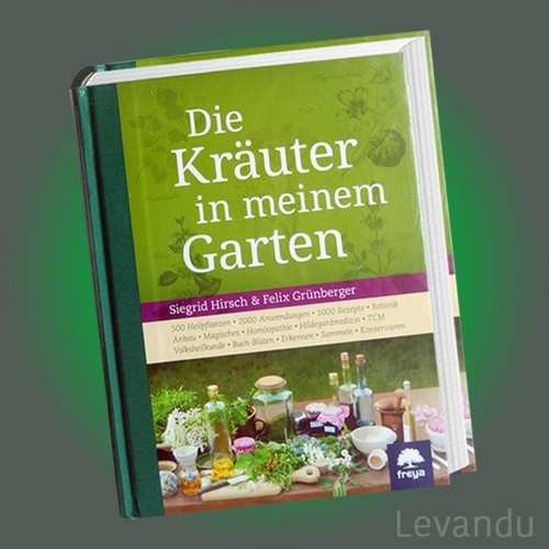 DIE KRÄUTER IN MEINEM GARTEN Heilpflanzen Anwendung Rezepte