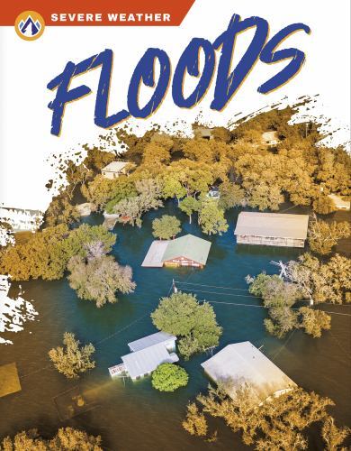 Floods by Sharon Dalgleish (2022, Library Binding)